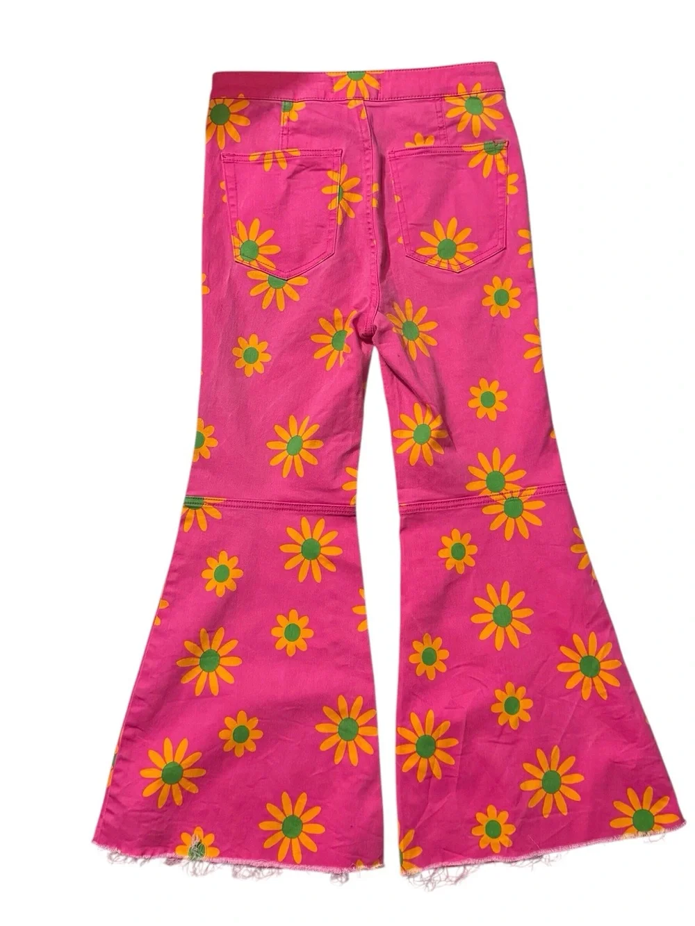 We The Free Size 27 Floral Youthquake Cropped Wide Leg Pants Boho Lipstick Combo